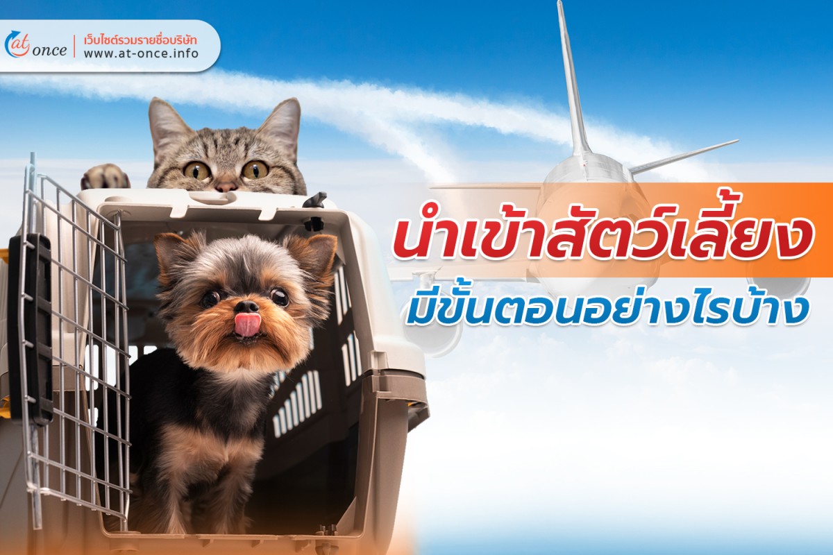 นำเข้าสัตว์เลี้ยงมีขั้นตอนอย่างไรบ้าง