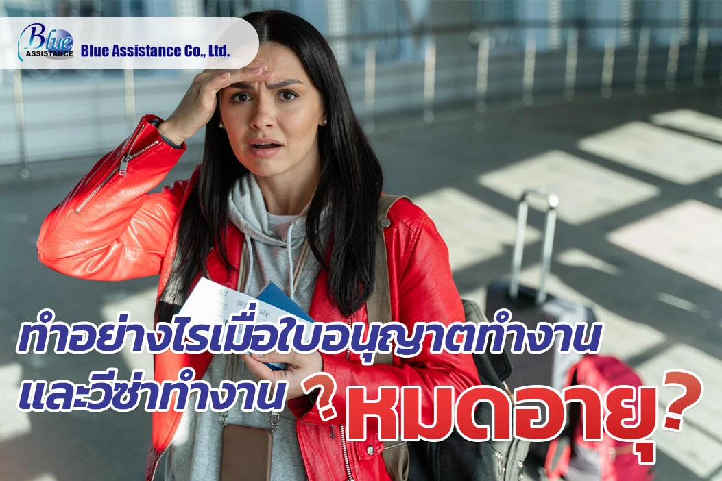 ทำอย่างไรเมื่อใบอนุญาตทำงานและวีซ่าทำงานหมดอายุ??