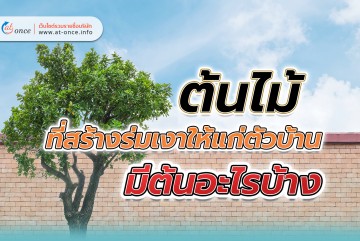 ต้นไม้ที่สร้างร่มเงาให้แก่ตัวบ้าน มีต้นอะไรบ้าง