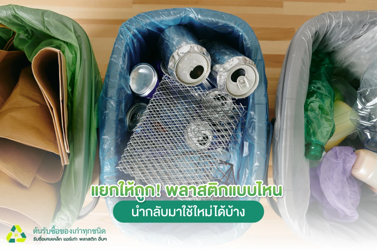แยกให้ถูก! พลาสติกแบบไหนนำกลับมาใช้ใหม่ได้บ้าง