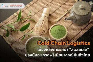 Cold Chain Logistics: เคล็ดลับนำเข้ามัทฉะญี่ปุ่น สำหรับโรงงาน F&B