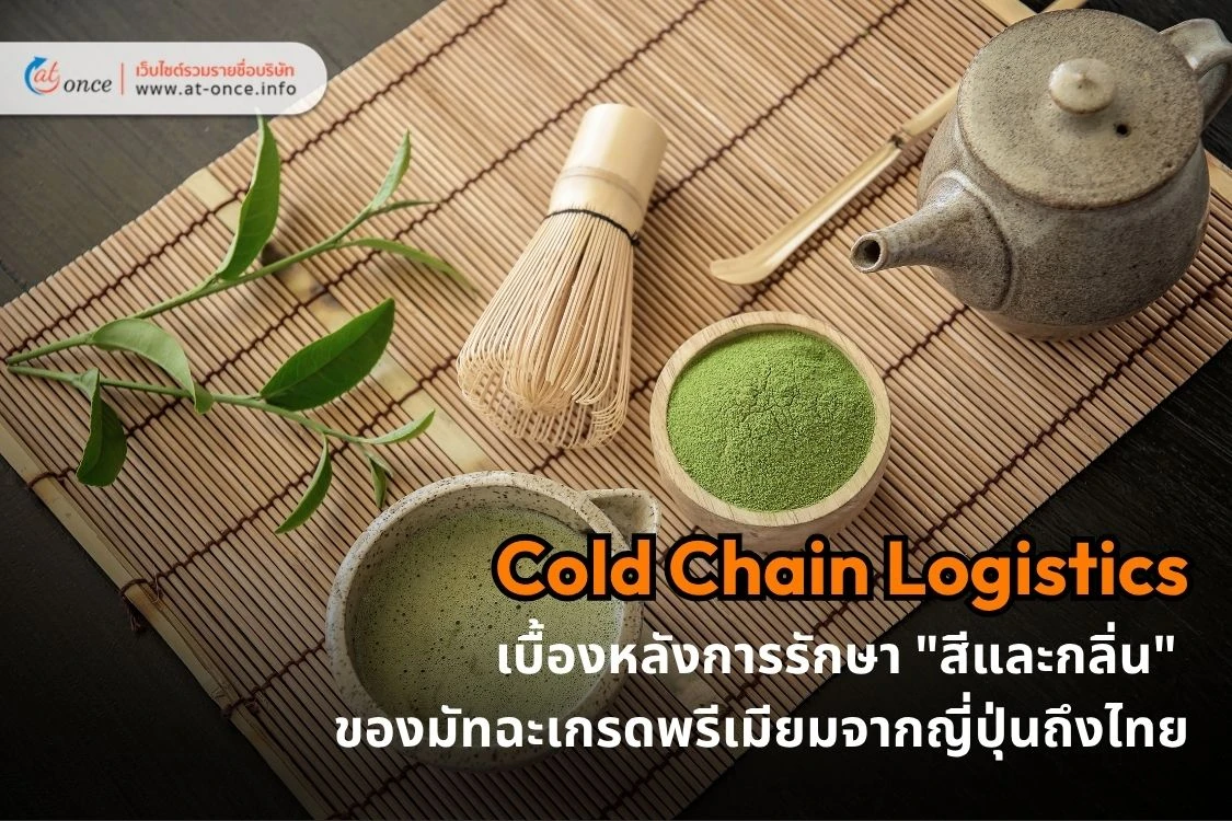 Cold Chain Logistics: เคล็ดลับนำเข้ามัทฉะญี่ปุ่น สำหรับโรงงาน F&B