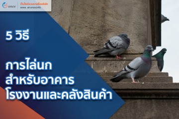 5 วิธีการไล่นกสำหรับอาคารโรงงานและคลังสินค้า