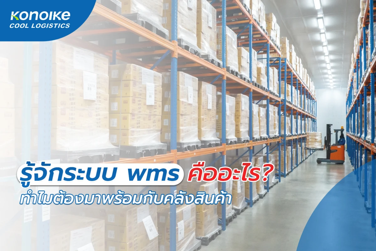 ระบบ wms คืออะไร? ทำไมคลังสินค้าควรมี  และมีประโยชน์อะไรบ้าง