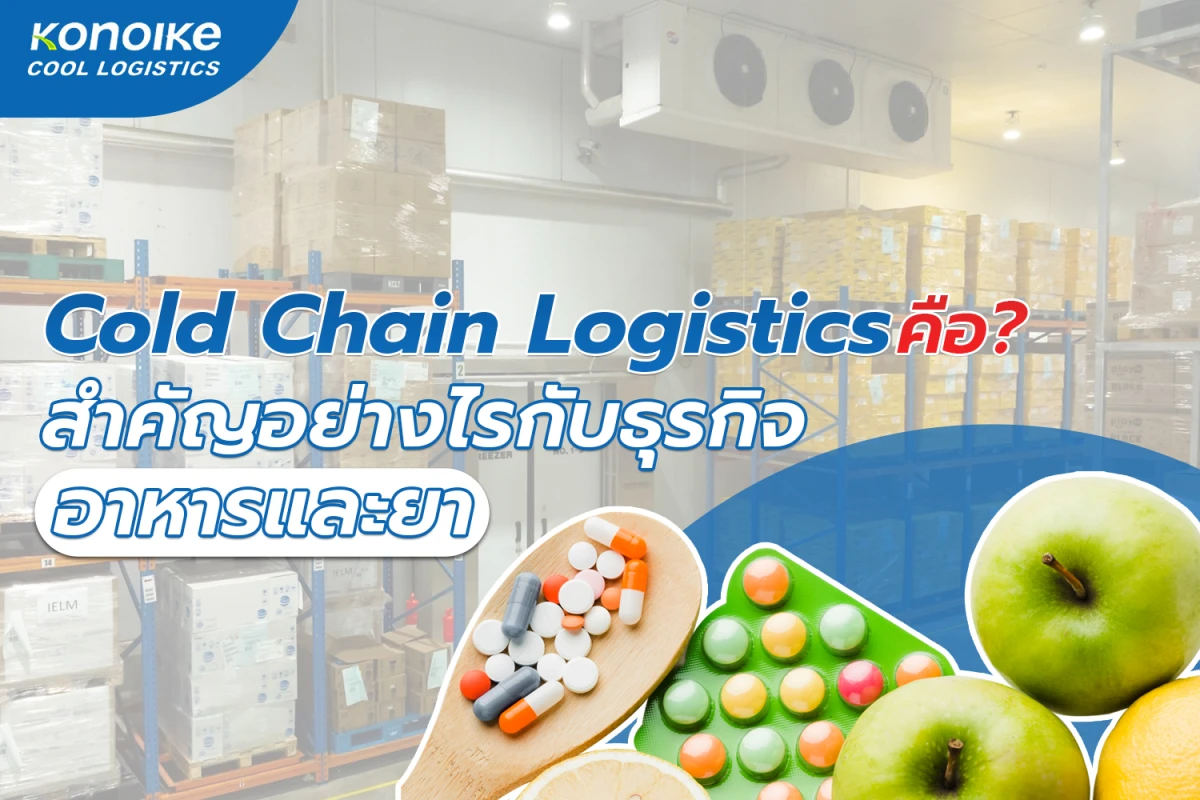 Cold Chain Logistics คือ? สำคัญอย่างไรกับธุรกิจอาหารอาหารและยา