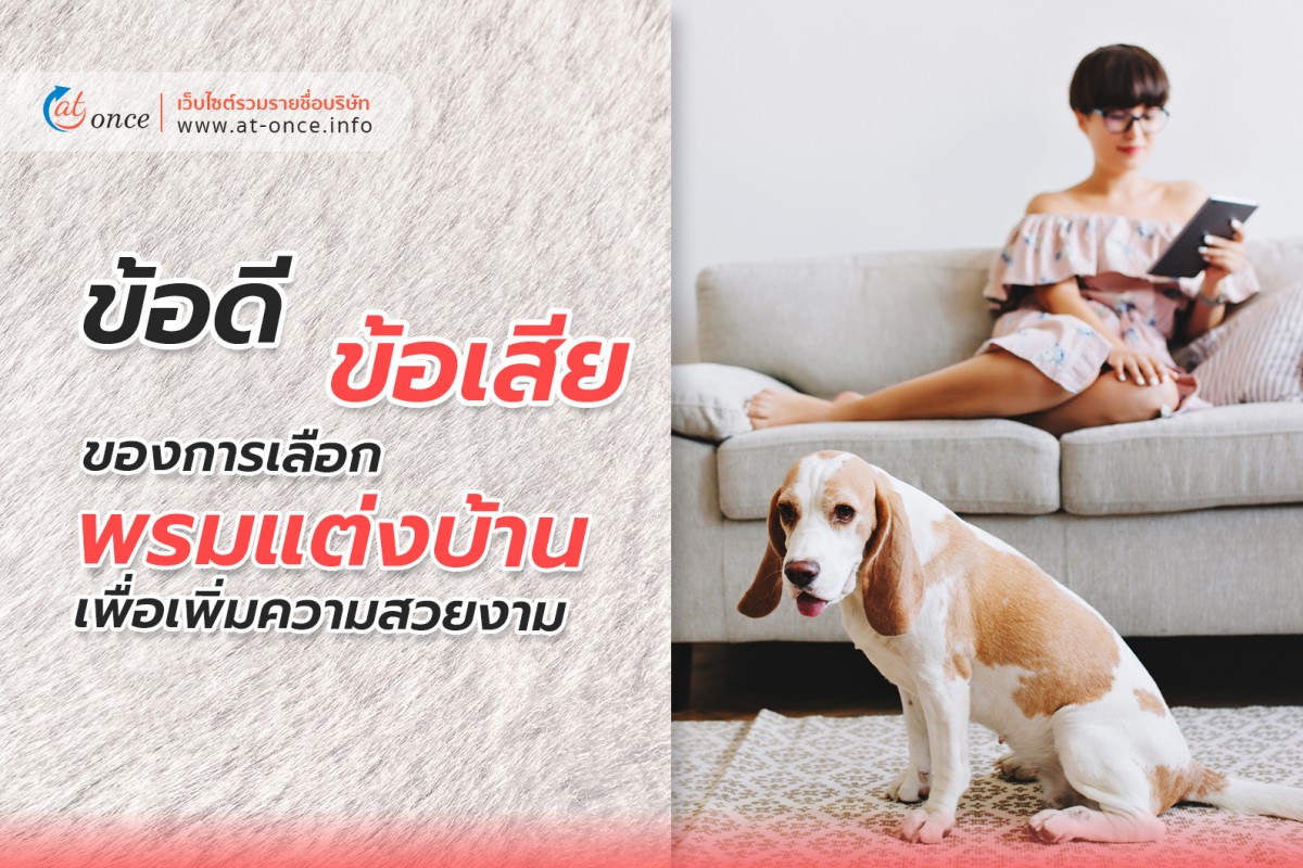 ข้อดีและข้อเสีย ของการเลือกพรมแต่งบ้าน เพื่อเพิ่มความสวยงาม
