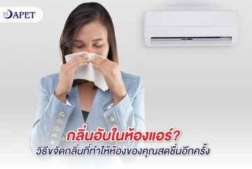 กลิ่นอับในห้องแอร์? วิธีขจัดกลิ่นที่ทำให้ห้องของคุณสดชื่นอีกครั้ง