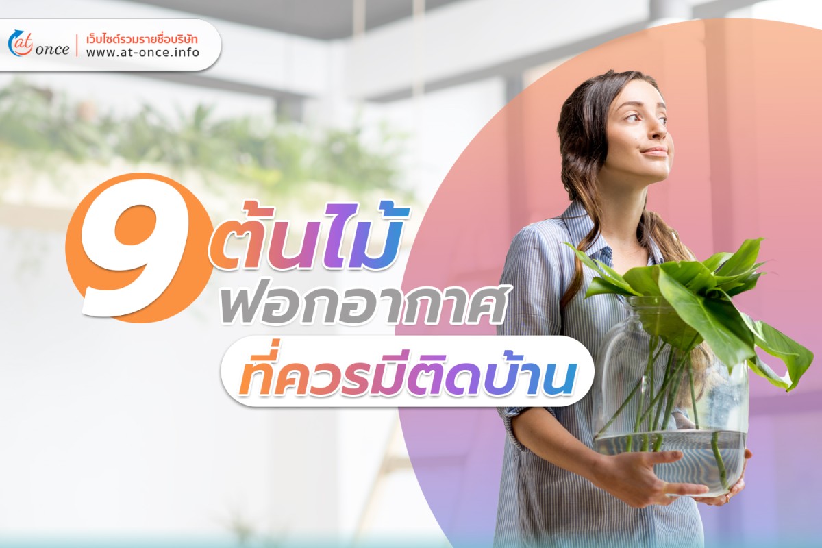 9 ต้นไม้ฟอกอากาศที่ควรมีติดบ้าน