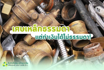 เศษเหล็กธรรมดา แต่ทำเงินได้ไม่ธรรมดา!