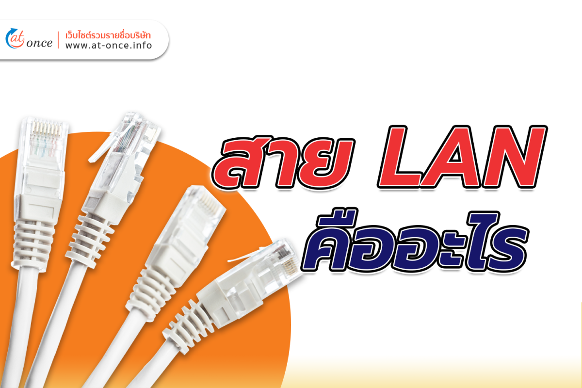 สาย LAN คืออะไร