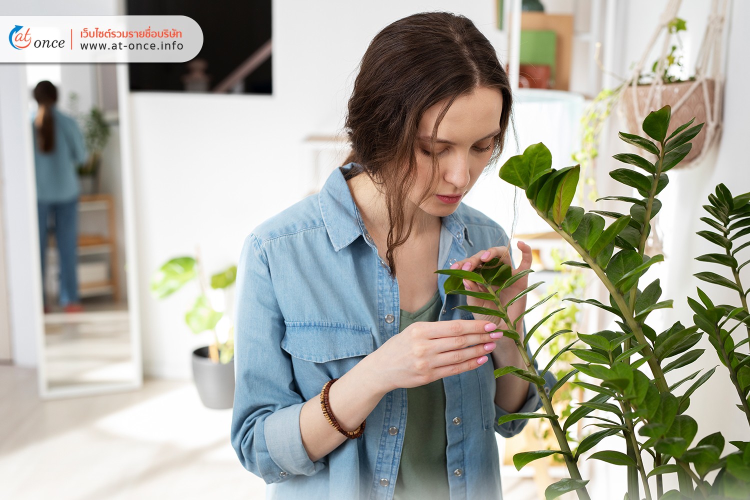 การตรวจสอบแมลง