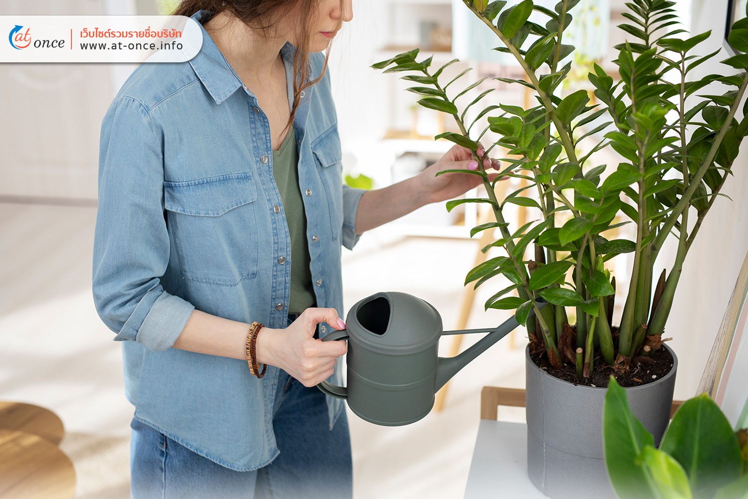 การรดน้ำอย่างเหมาะสม