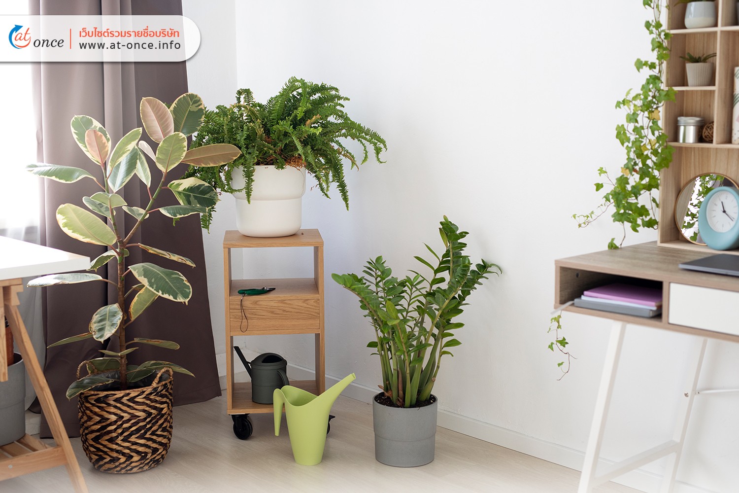 การวางต้นไม้ที่เหมาะสม