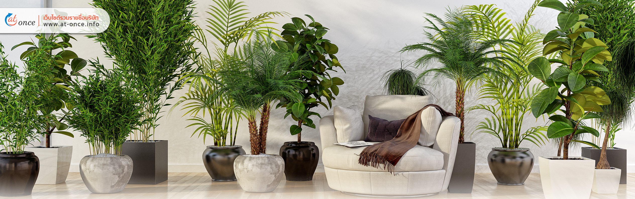 ต้นไม้ยอดนิยม