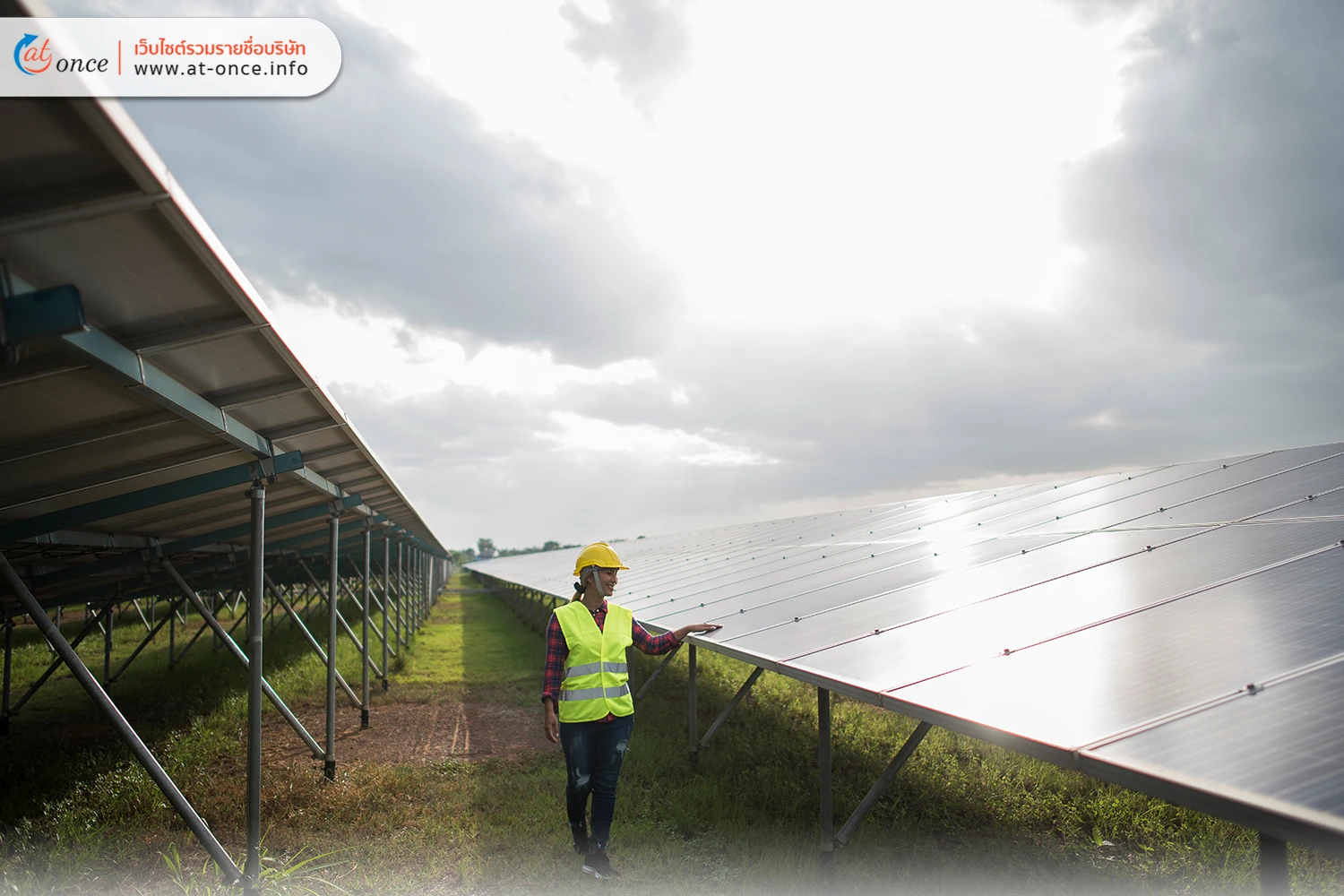 การลงทุน