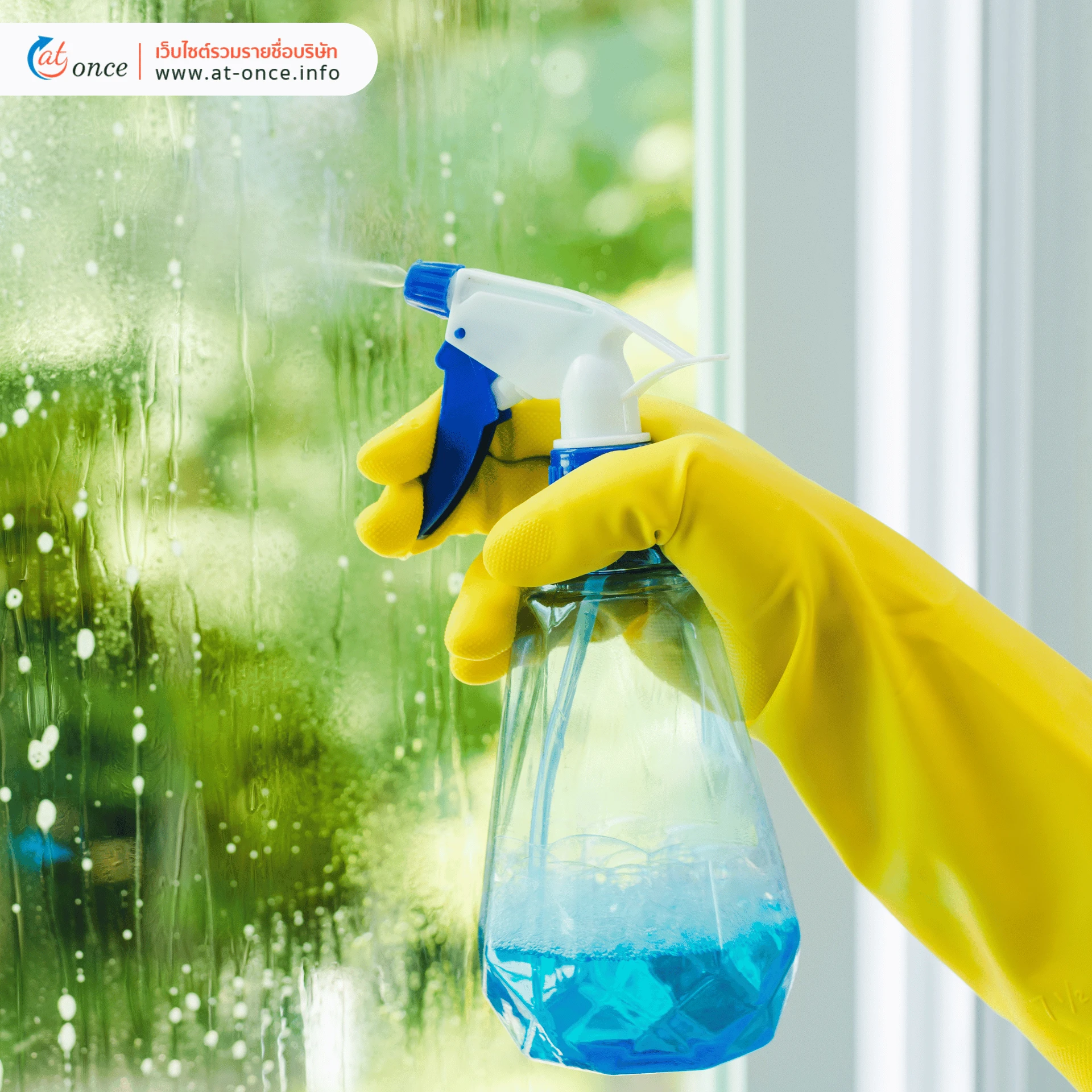 น้ำยาฆ่าเชื้อ