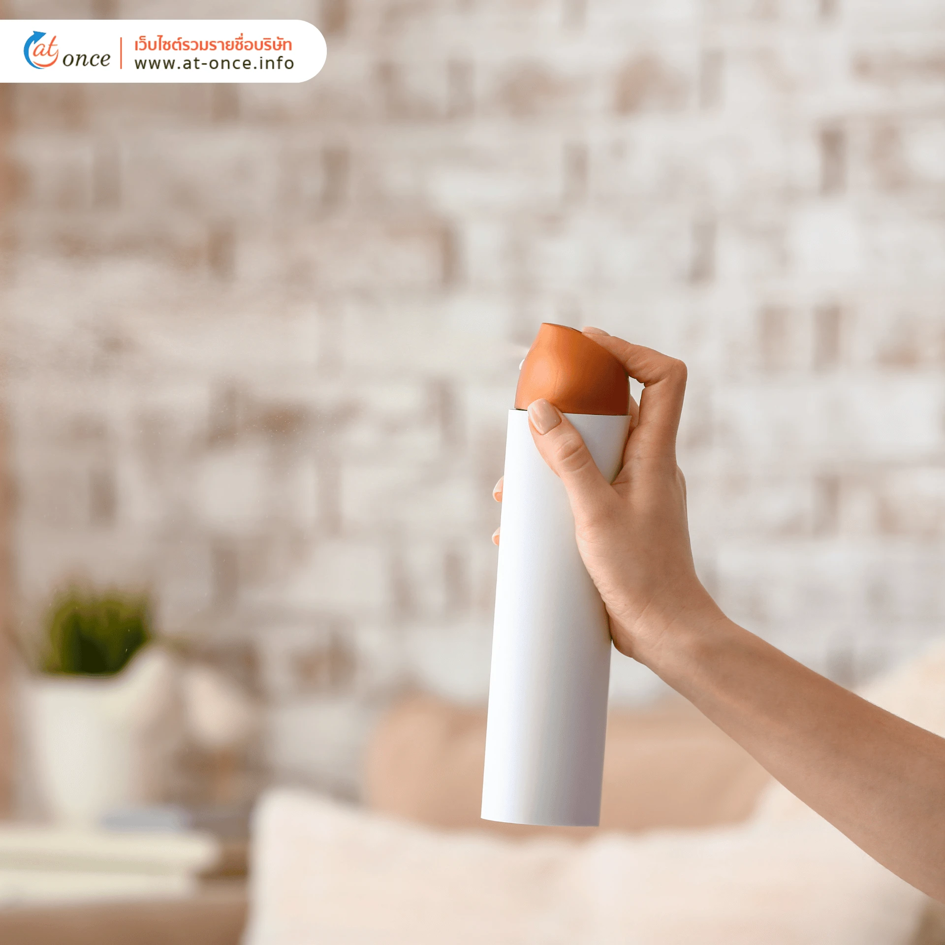 น้ำยาฆ่าเชื้อ