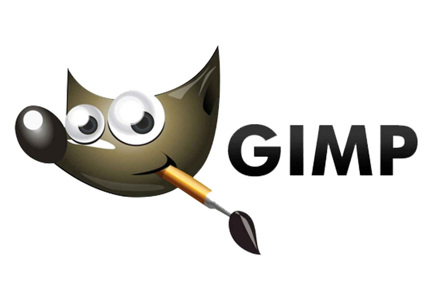GIMP