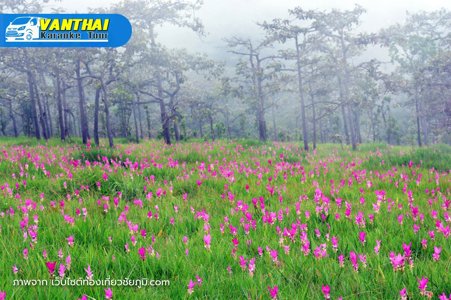 อุทยานแห่งชาติไทรทอง – ชัยภูมิ