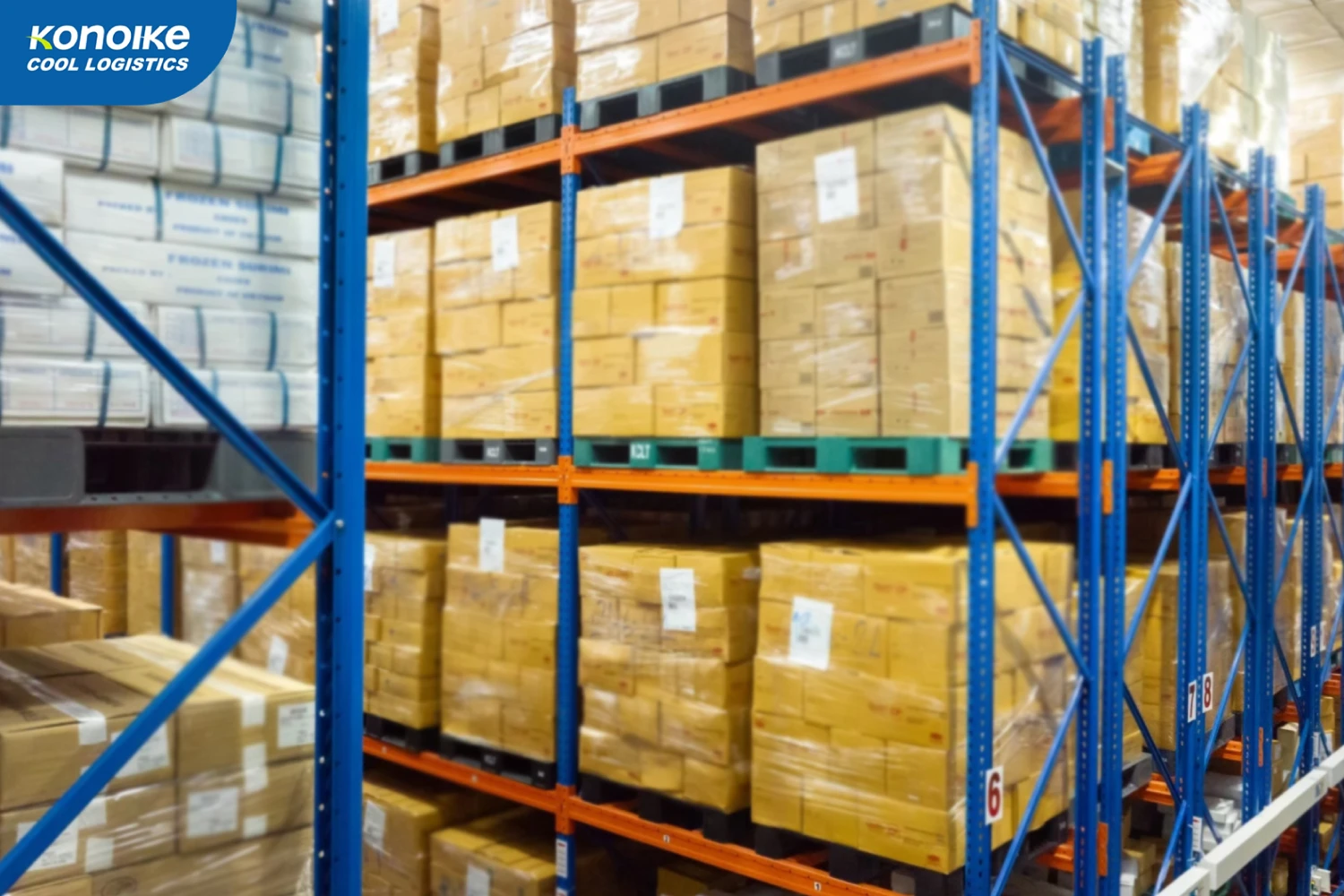 Cold Chain Logistics