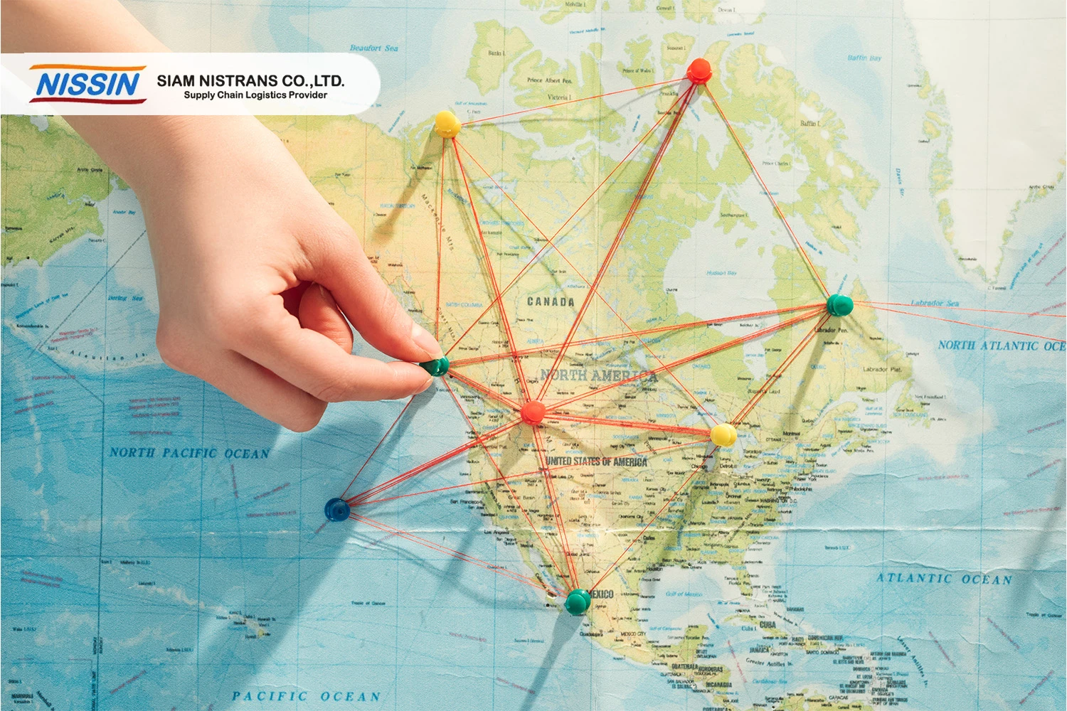 Freight Forwarder 