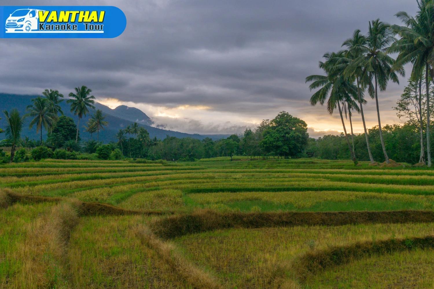 หน้าฝนเที่ยวไหนดี? รวม 25 ที่เที่ยวสุดฉ่ำใจ เที่ยวเพลินกับ Green Season