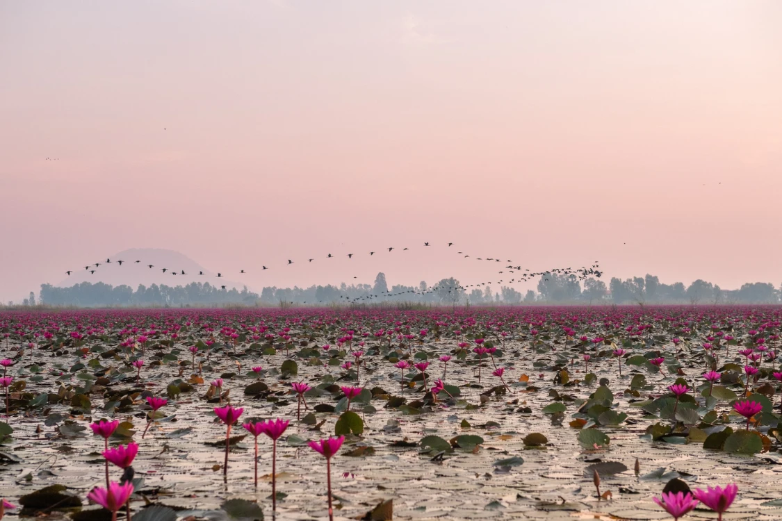 11 ที่เที่ยวเดือนกันยายน ชุ่มฉ่ำหน้าฝน ธรรมชาติสวยทั่วไทย