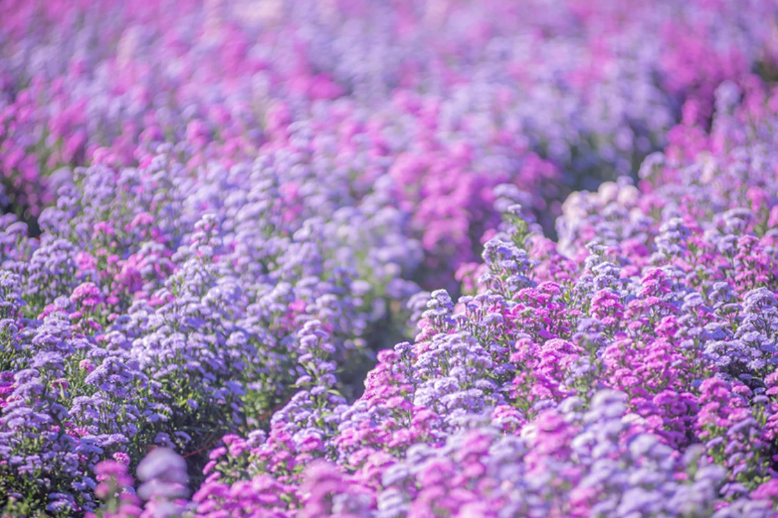 11 ที่เที่ยวเดือนกันยายน ชุ่มฉ่ำหน้าฝน ธรรมชาติสวยทั่วไทย