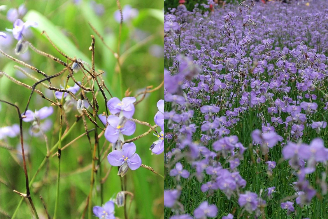 11 ที่เที่ยวเดือนกันยายน ชุ่มฉ่ำหน้าฝน ธรรมชาติสวยทั่วไทย