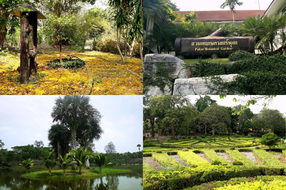 14 ที่เที่ยวเดือนกันยายน! หน้าฝนทั่วไทย พร้อมบริการเช่ารถตู้พร้อมคนขับจากแวนไทย คาราโอเกะ ทัวร์