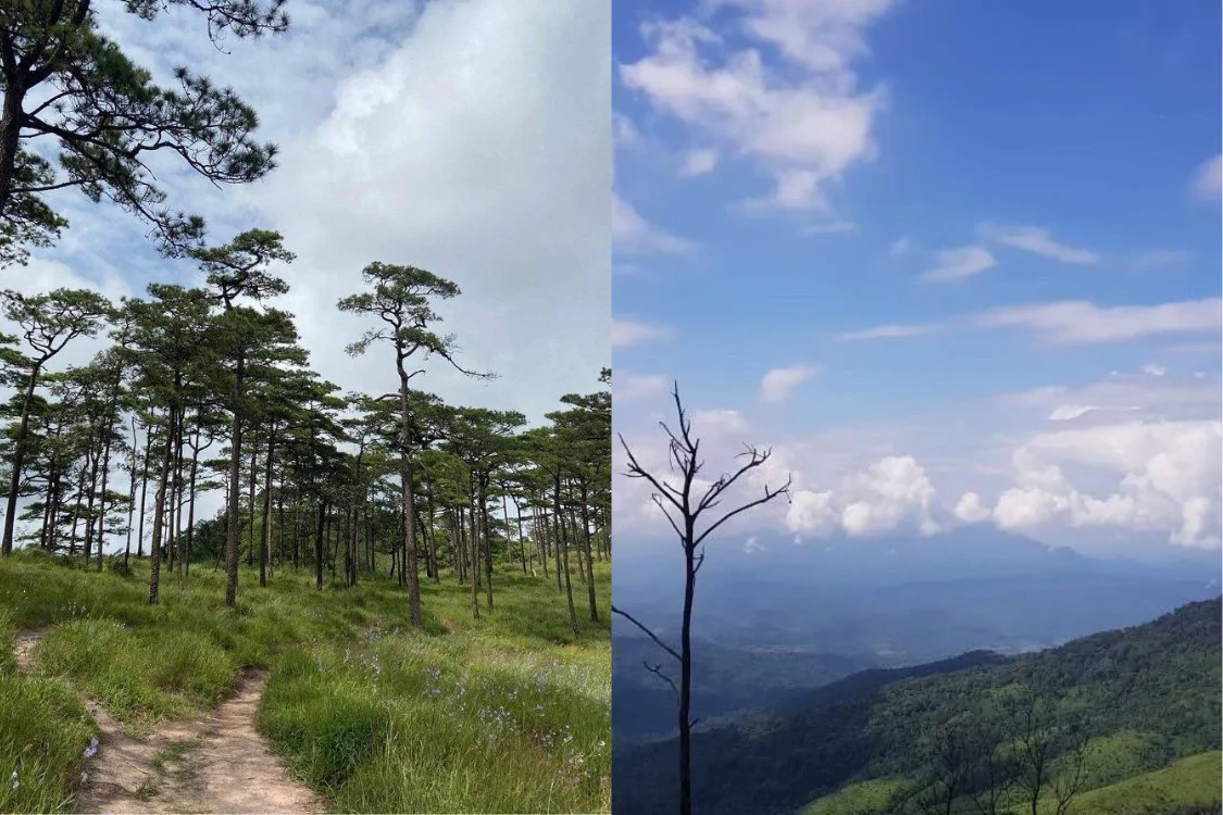 10 จุดชมวิวหน้าฝนในประเทศไทยที่สวยเหมือนฝัน