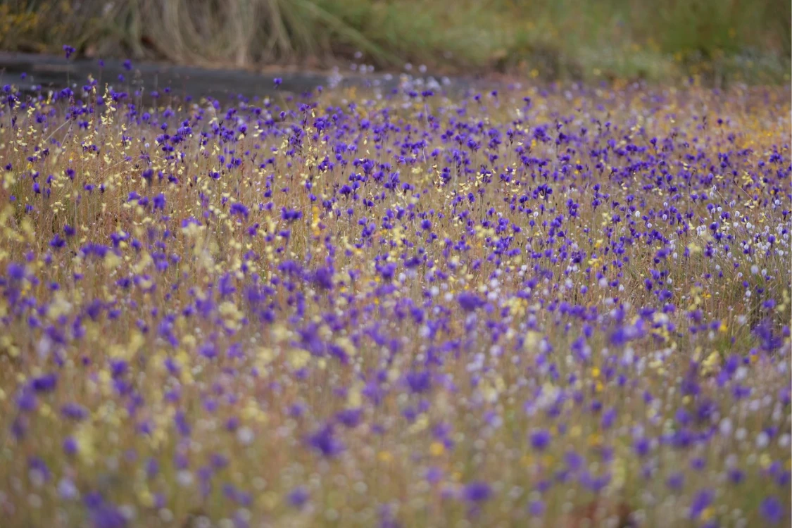 รวมที่เที่ยวเดือนตุลาคม 2025 ปลายฝนต้นหนาว ครบทั้งทะเลและภูเขา