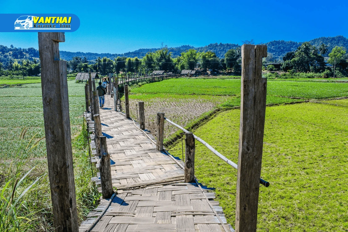 Top 5 จังหวัดเมืองหนาวเมืองไทย ที่ต้องไปให้ได้สักครั้ง พร้อมรถตู้เช่าที่บริการถึงที่