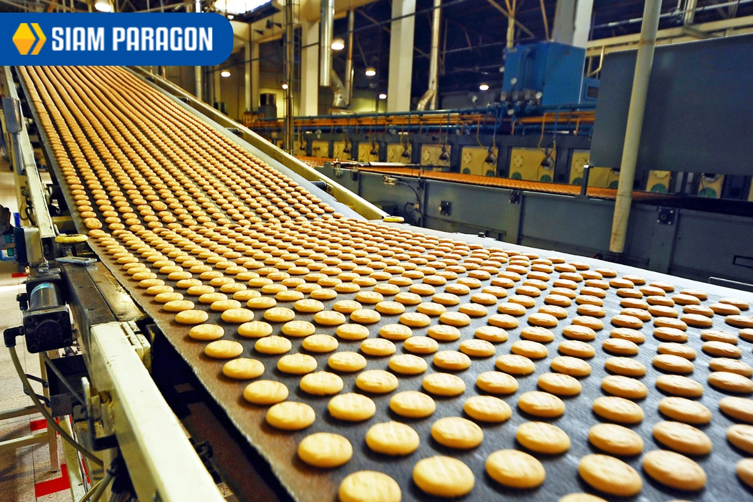 damaged-products-food-production