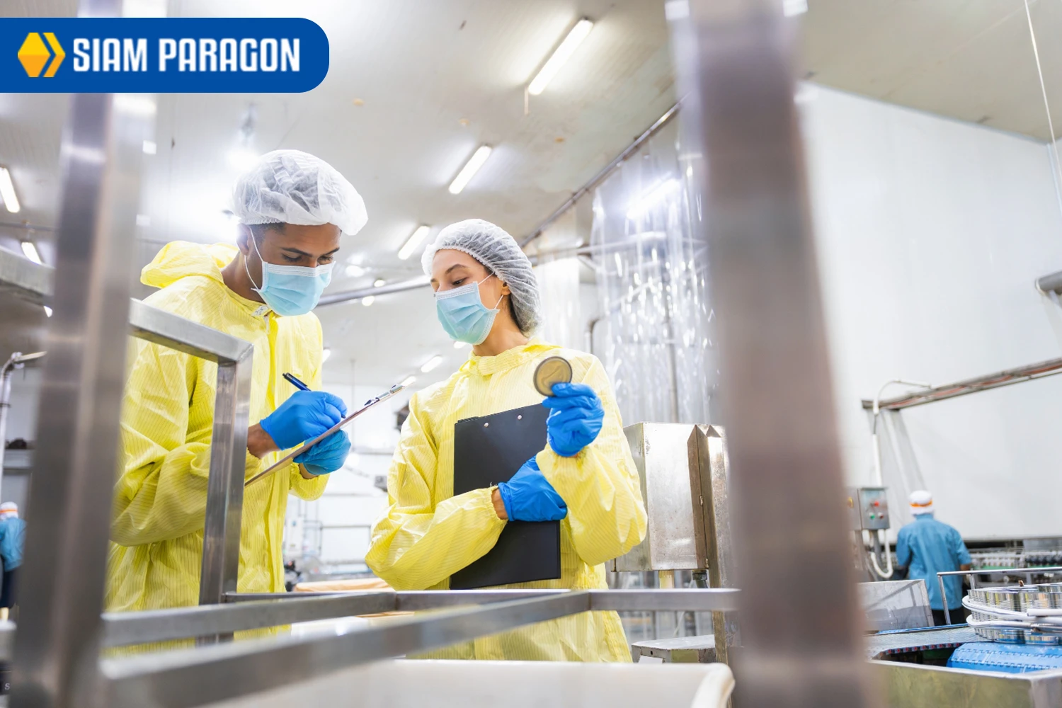 damaged-products-food-production