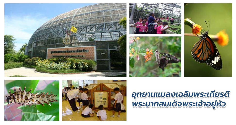 อุทยานแมลงเฉลิมพระเกียรติ พระบาทสมเด็จพระเจ้าอยู่หัว