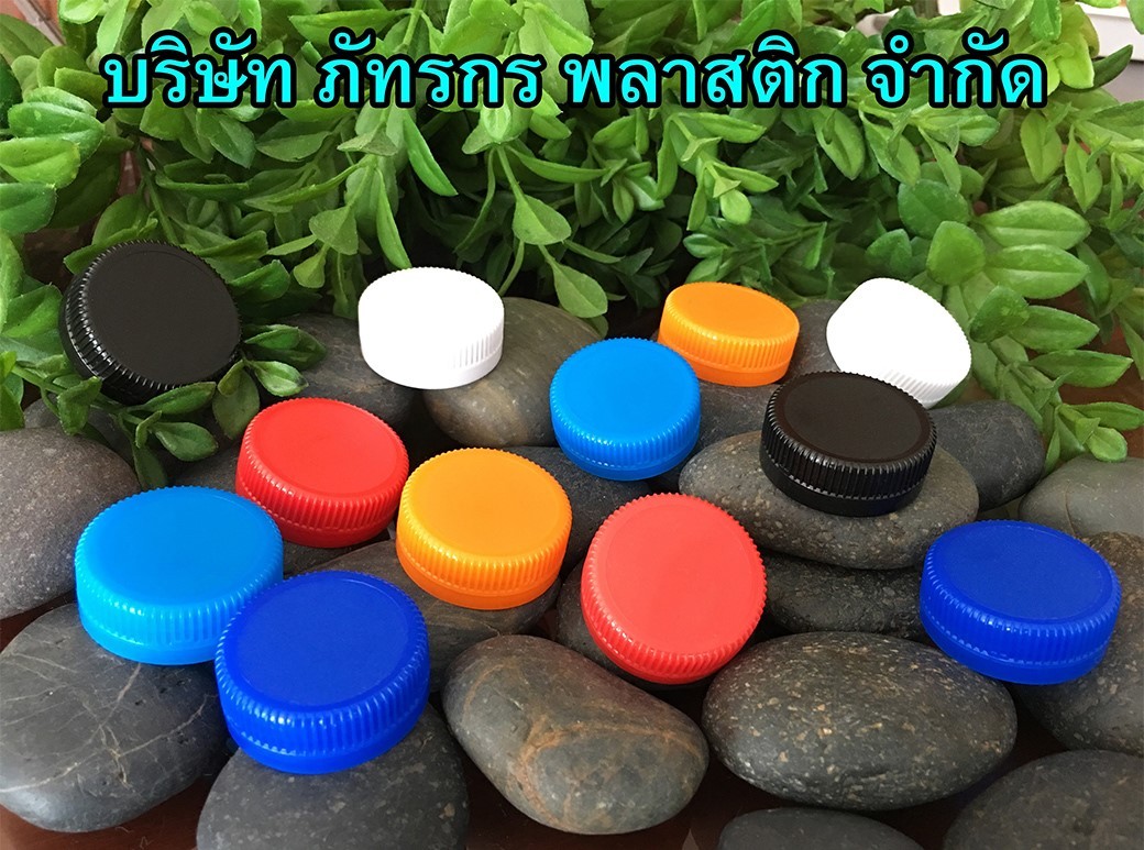 ฝาปั๊ม(ฝาสลิป)