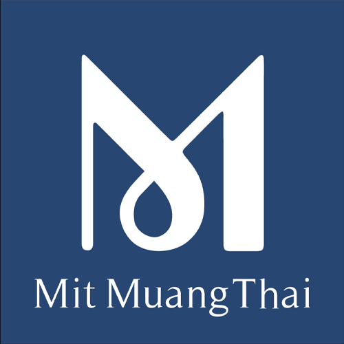 บริษัท มิตรเมืองไทย จำกัด - Company Logo