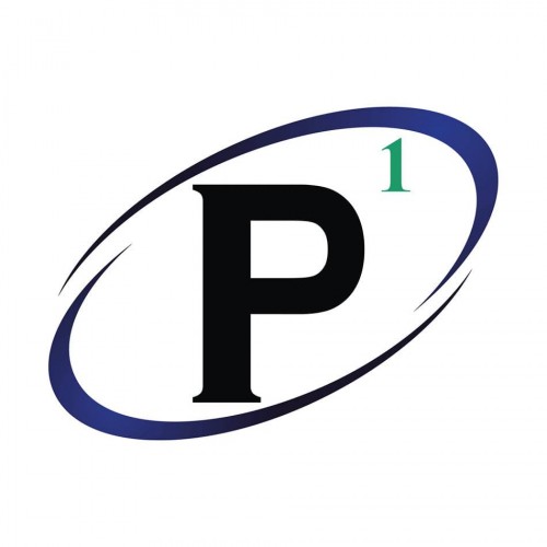 บริษัท พี นัมเบอร์วัน ดีไซน์ แอนด์ คอนสตรัคชั่น จำกัด - Company Logo