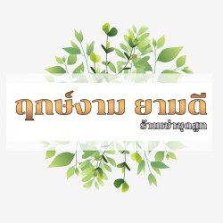บริษัท ทีเอ็มที เร้นท์ทัล กรุ๊ป จำกัด - สิ่งทอและผ้าไหม