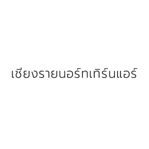 เชียงรายนอร์ทเทิร์นแอร์ - Company Logo