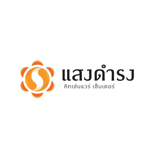 บริษัท แสงดำรง จำกัด - Company Logo