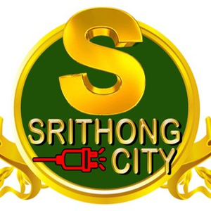 บริษัท ศรีทอง ซิตี้ จำกัด
