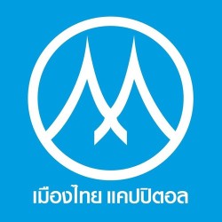 บริษัท เมืองไทย แคปปิตอล จำกัด (มหาชน) - ธนาคารและสินเชื่อแฟคตอริ่ง