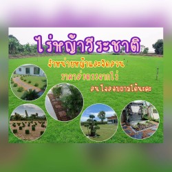 Veerachart Grass Farm - Gardening