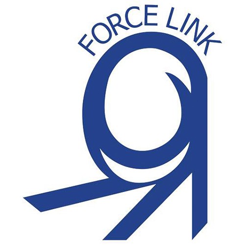 FORCE LINK COMPANY LIMITED - Company Logo