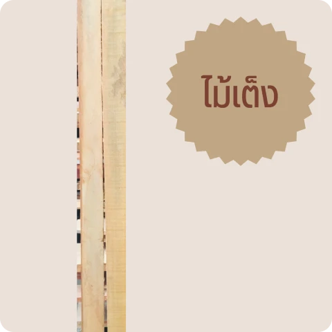 บ้านแพนศรีวารีค้าไม้และสิ่งประดิษฐ์