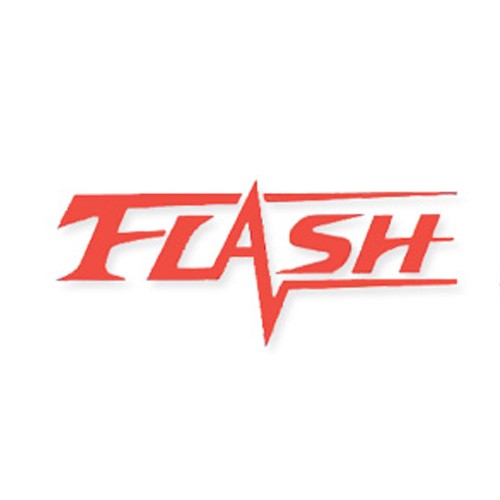 บริษัท แฟลช อินเตอร์เนชั่นแนล ทรานสปอร์ต จำกัด - Company Logo