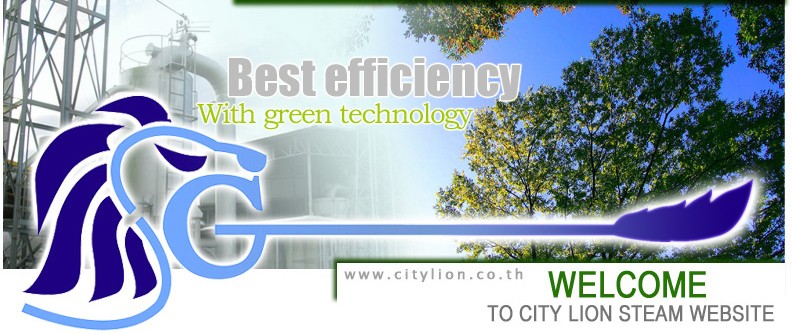 บริษัท ซิตี้ไลอ้อนสตีม จำกัด