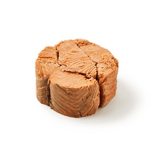 ปลาแซลมอน